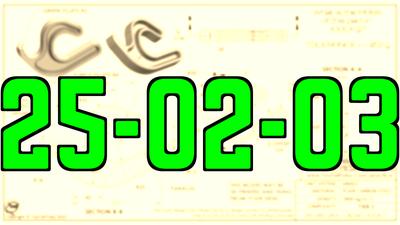 25-02-03